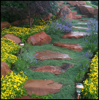 Wet rock pathway with groundcover