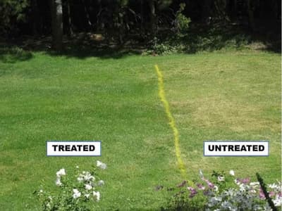 Compare Treated Areas To Nontreated Areas
